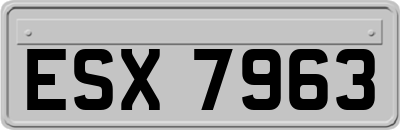 ESX7963