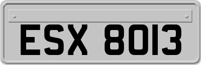 ESX8013