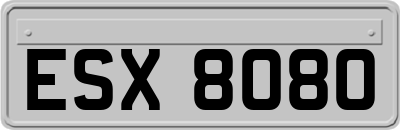 ESX8080
