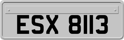 ESX8113