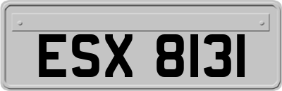 ESX8131
