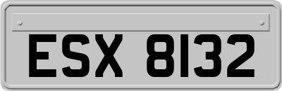 ESX8132