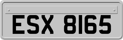 ESX8165