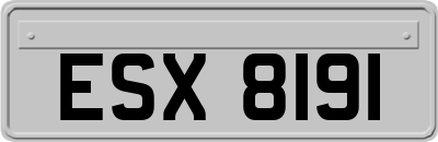 ESX8191