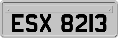 ESX8213