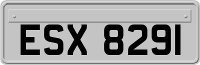 ESX8291