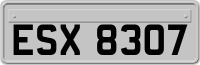 ESX8307