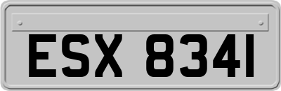 ESX8341