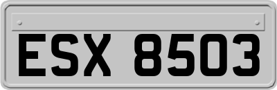 ESX8503