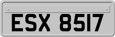 ESX8517