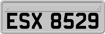 ESX8529