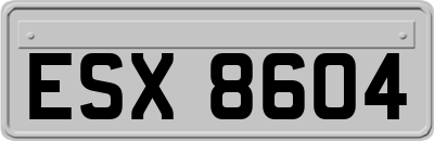 ESX8604
