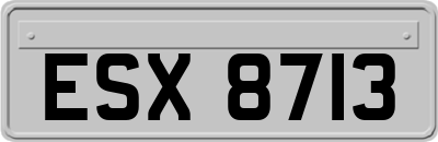 ESX8713