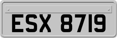 ESX8719