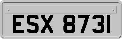 ESX8731