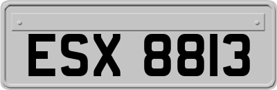 ESX8813
