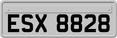 ESX8828