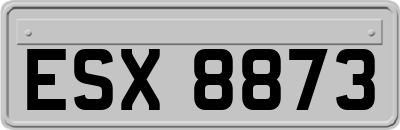 ESX8873