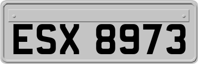 ESX8973