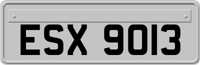 ESX9013