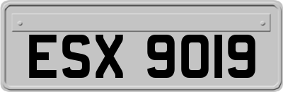 ESX9019