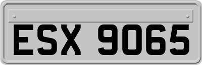 ESX9065