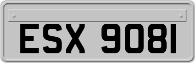 ESX9081