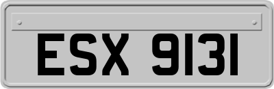ESX9131