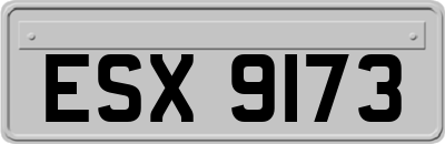 ESX9173