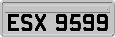 ESX9599
