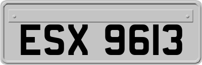 ESX9613