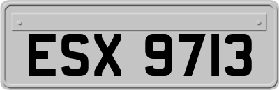 ESX9713