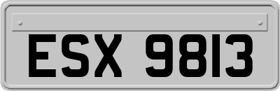 ESX9813