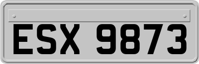 ESX9873