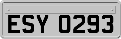 ESY0293