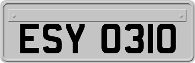 ESY0310