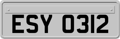 ESY0312