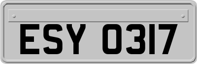 ESY0317