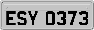 ESY0373