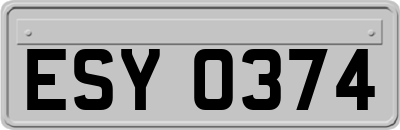 ESY0374