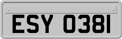 ESY0381