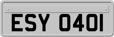 ESY0401