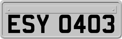 ESY0403