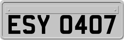ESY0407
