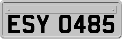 ESY0485
