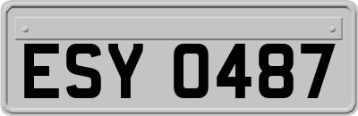 ESY0487
