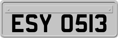 ESY0513