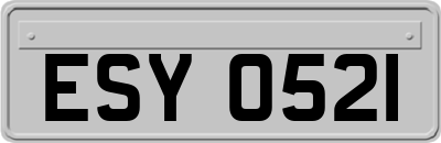 ESY0521