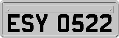 ESY0522