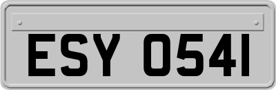 ESY0541